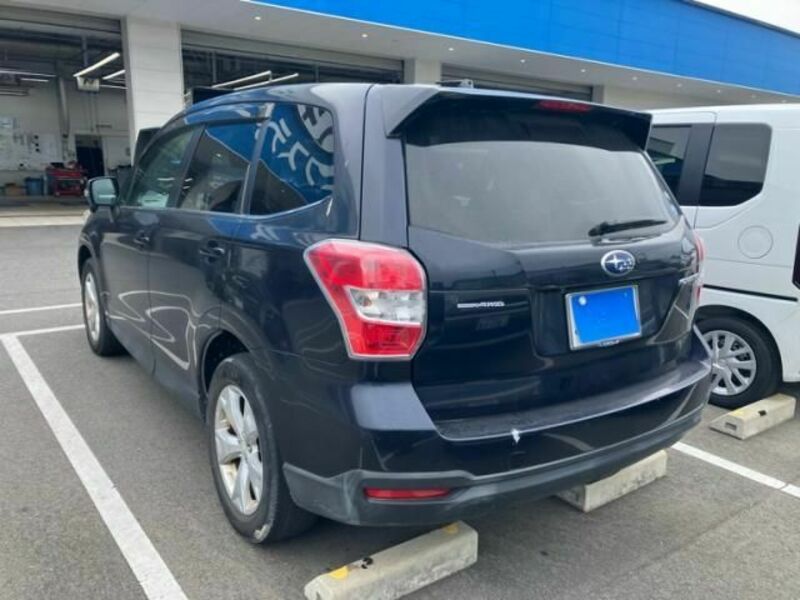 FORESTER-3