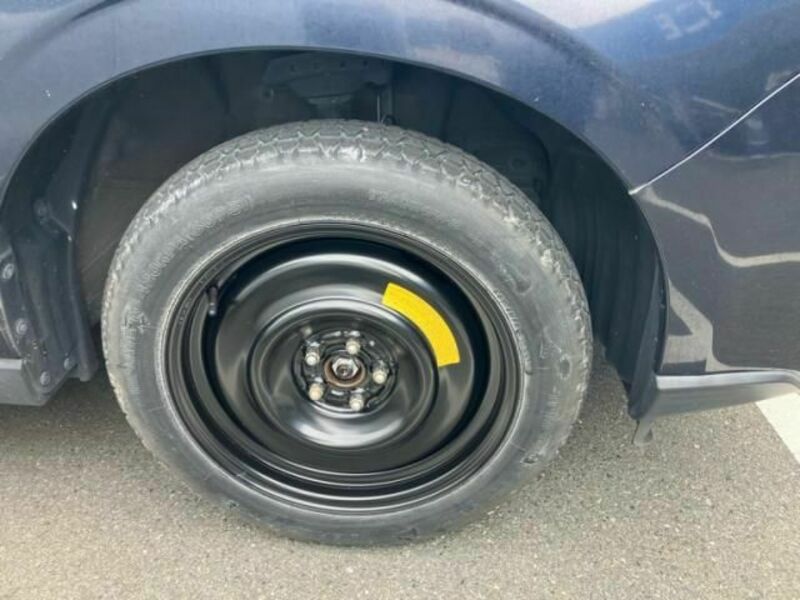 FORESTER-4