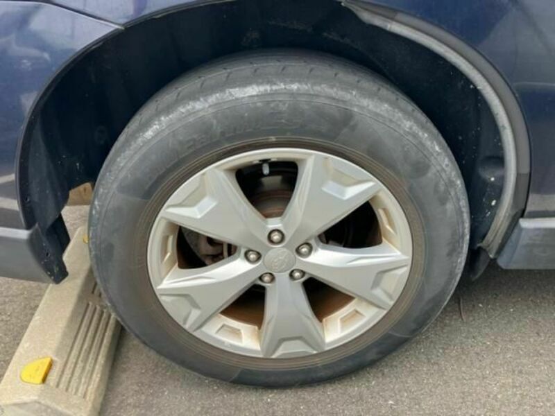 FORESTER-5