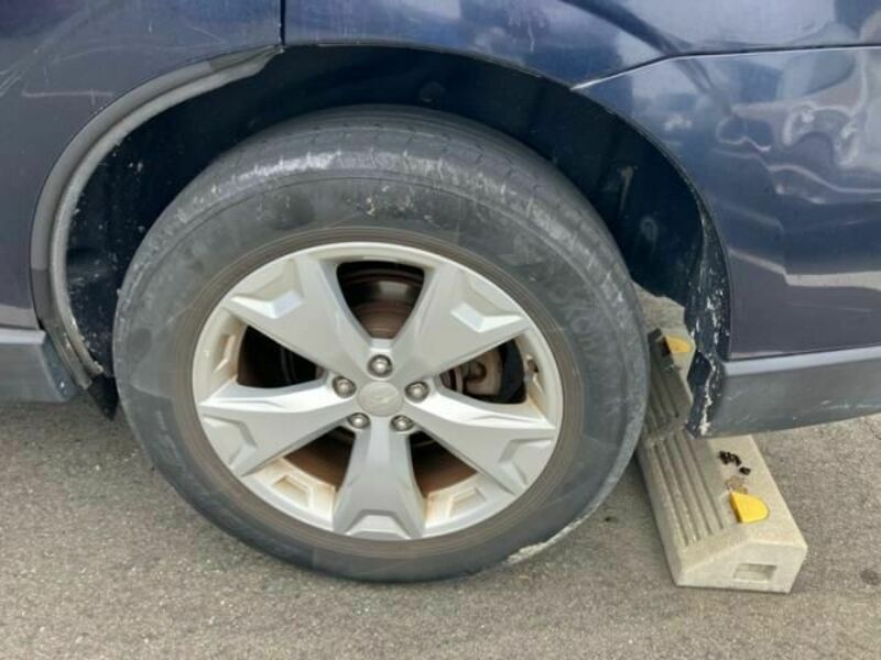 FORESTER-6