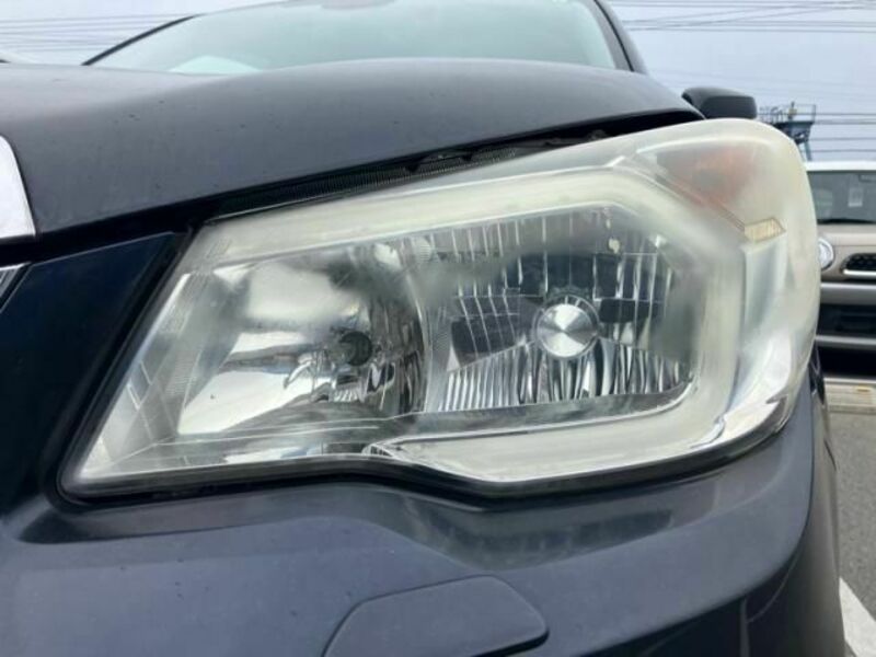 FORESTER-8