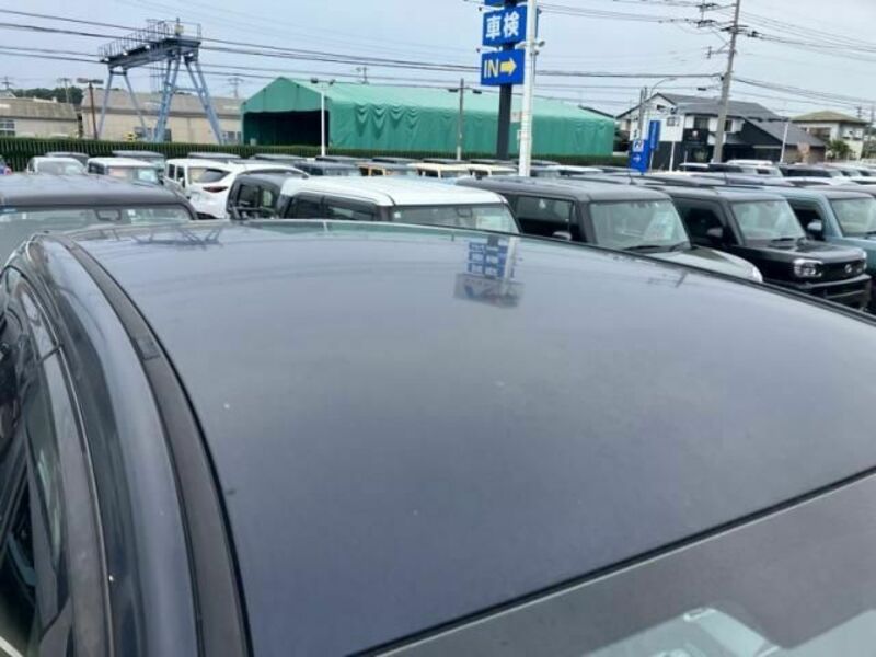 FORESTER-9