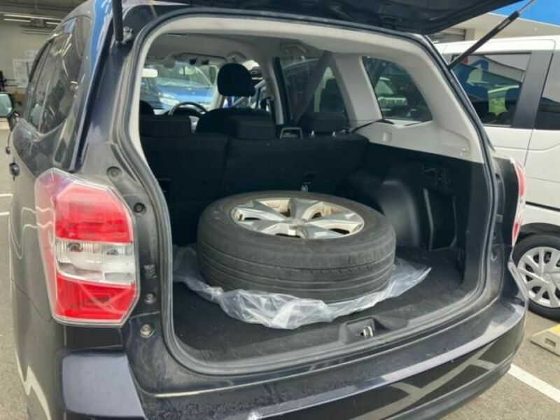 FORESTER-14