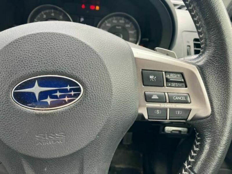 FORESTER-16