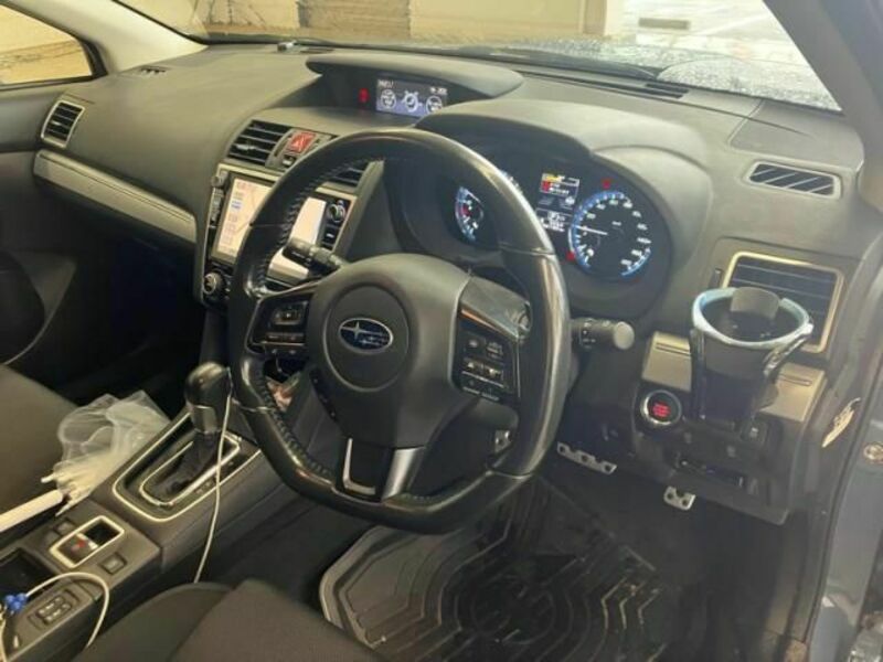 LEVORG-10