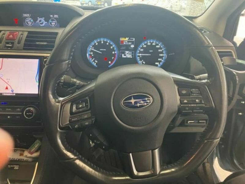 LEVORG-17