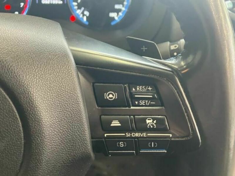 LEVORG-19