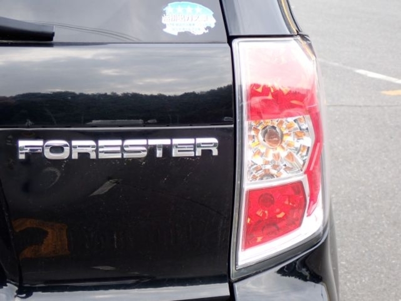 FORESTER