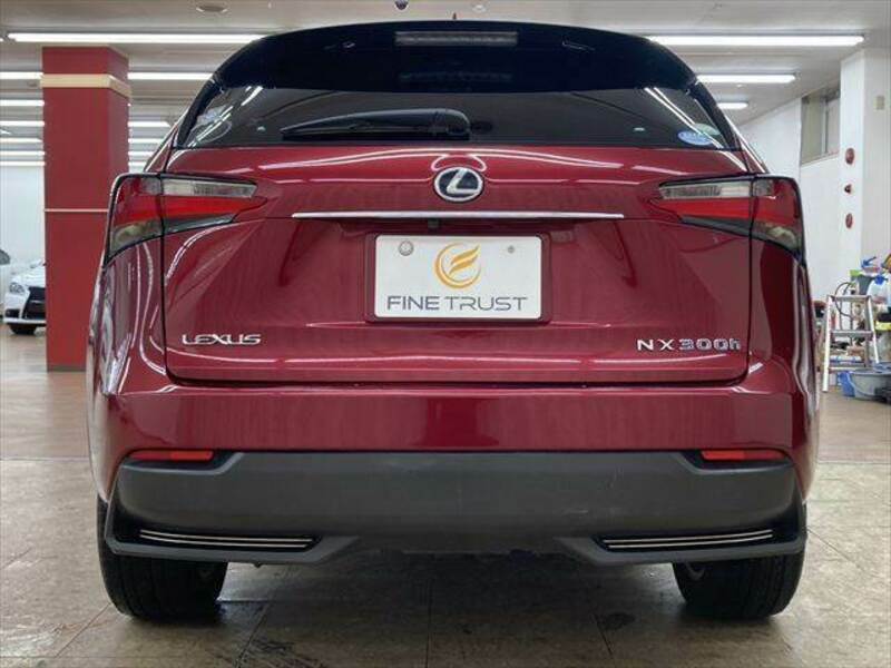 NX