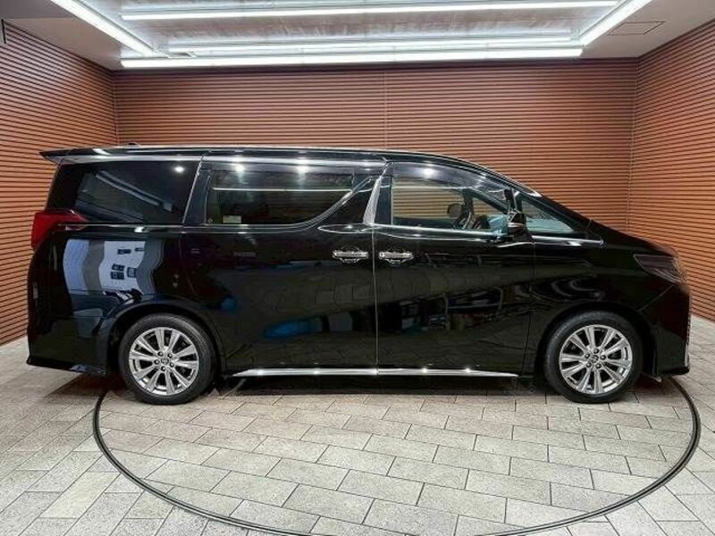 ALPHARD-17
