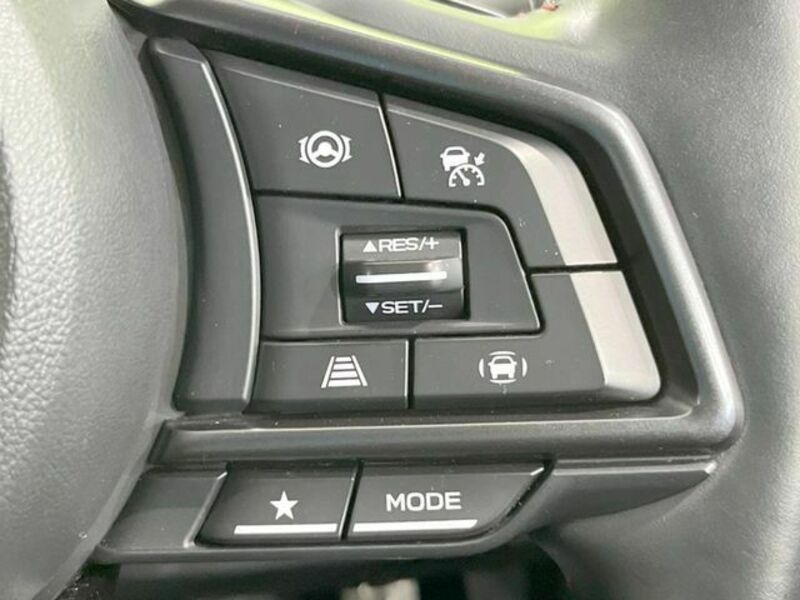LEVORG-5
