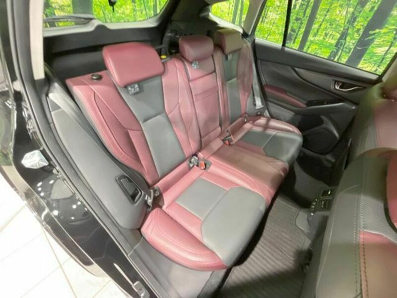 LEVORG-8