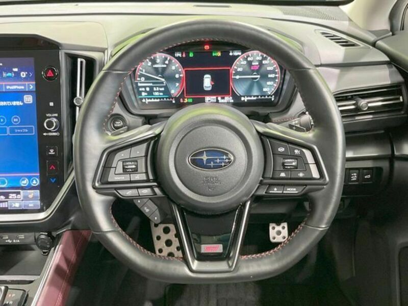 LEVORG-10