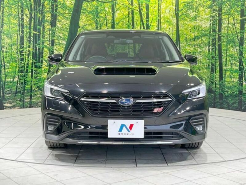 LEVORG-13
