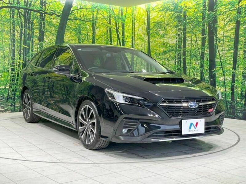 LEVORG-15