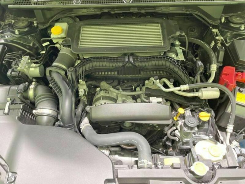 LEVORG-17