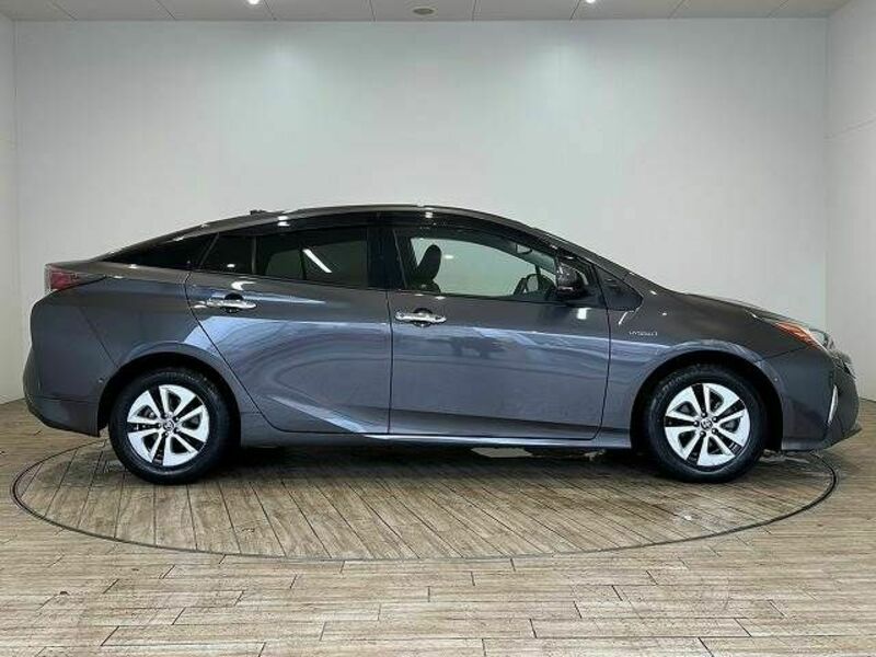 PRIUS-16