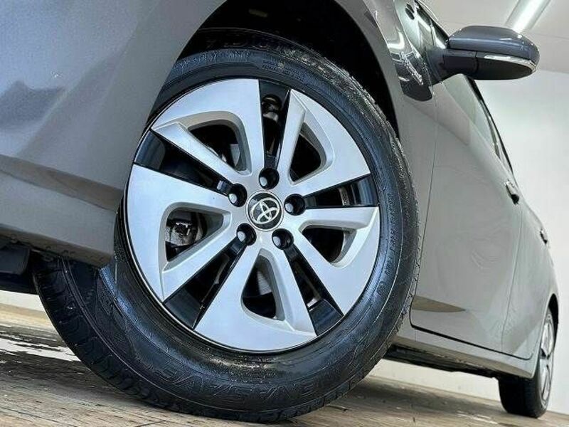 PRIUS-17