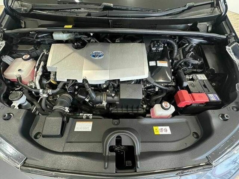 PRIUS-19
