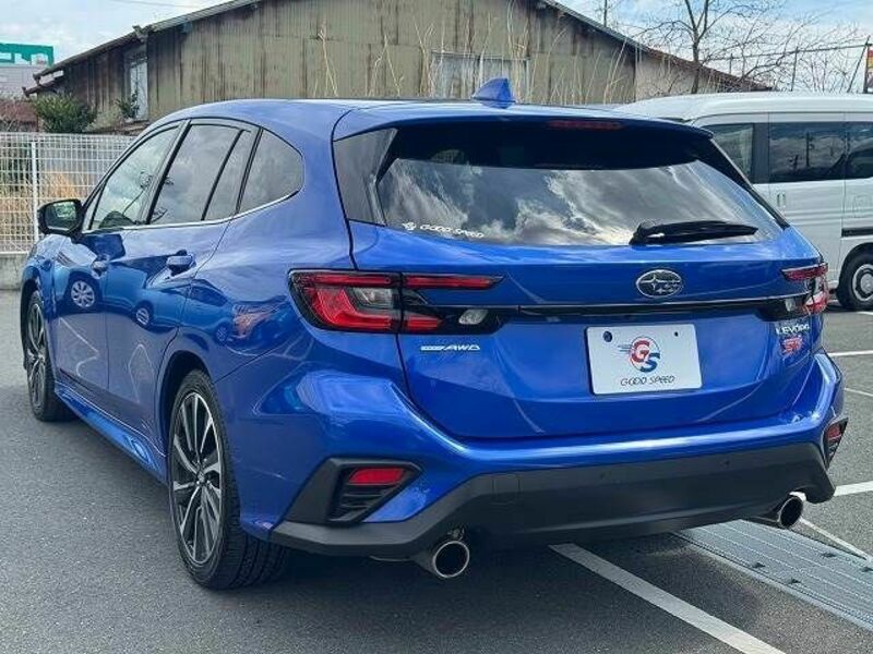 LEVORG
