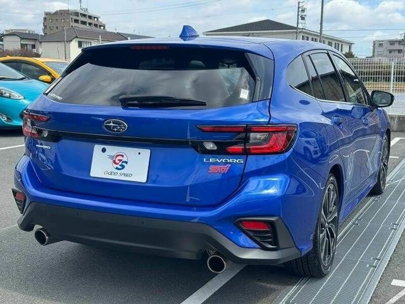LEVORG