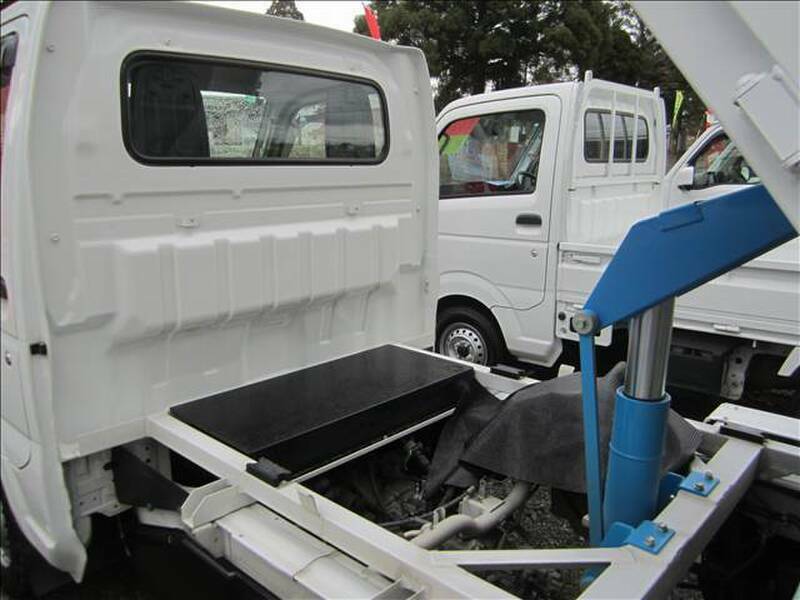 CARRY TRUCK-4