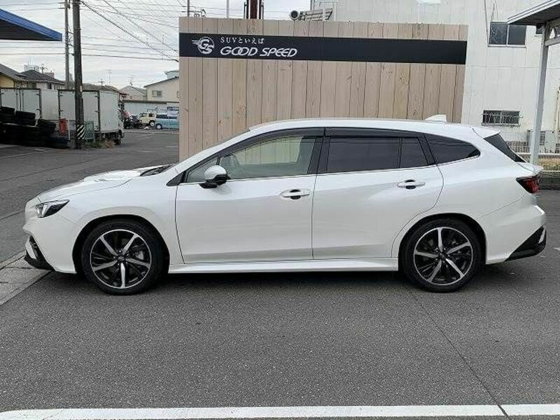 LEVORG