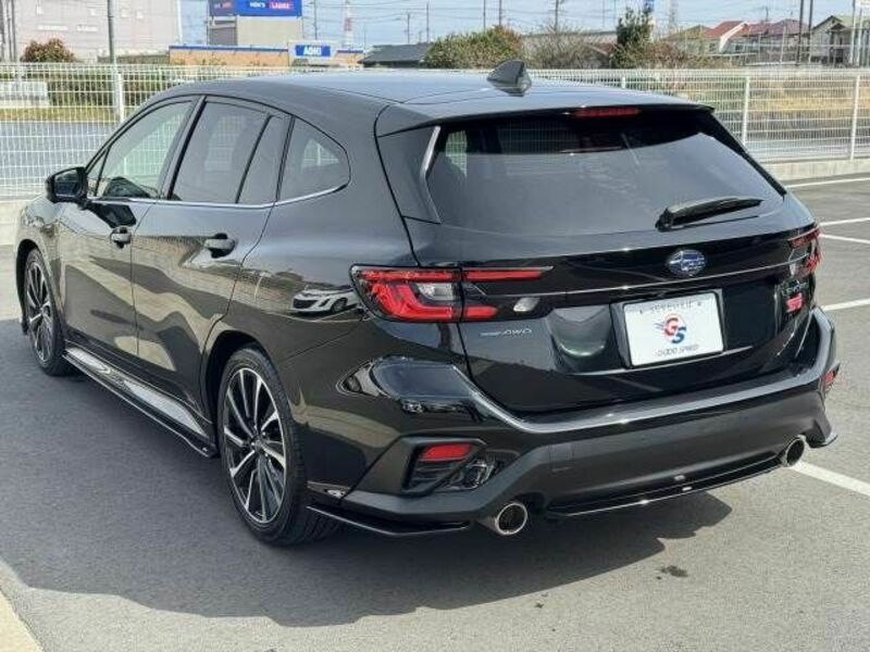 LEVORG