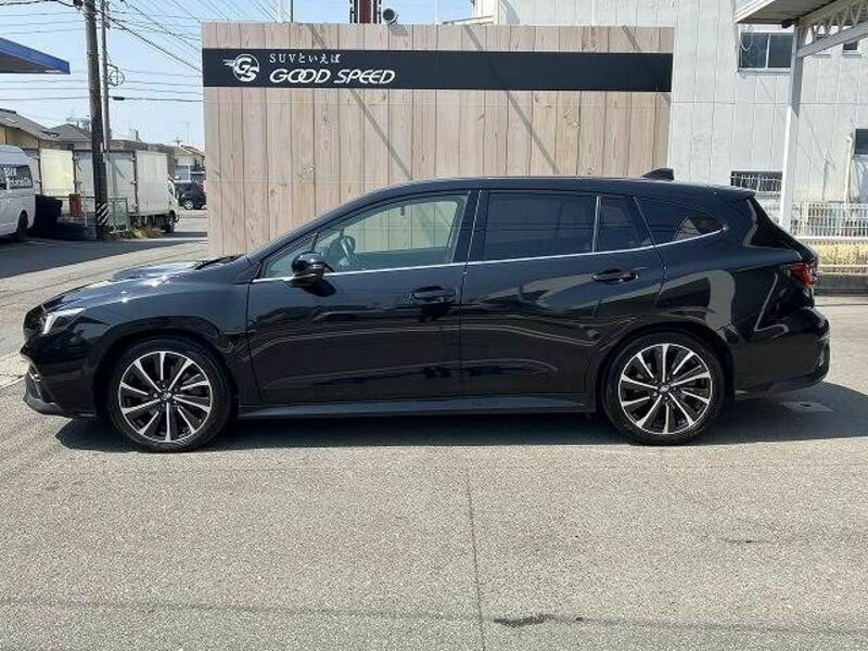 LEVORG