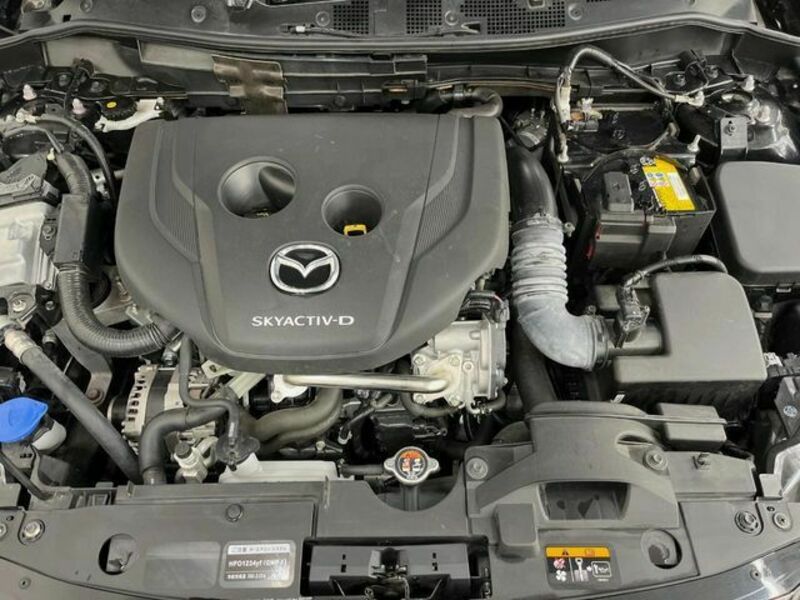MAZDA2