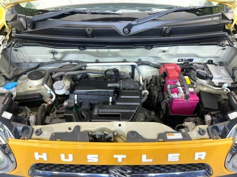 HUSTLER