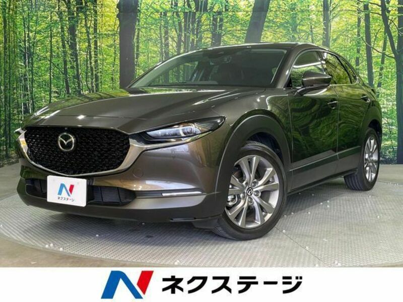 CX-30