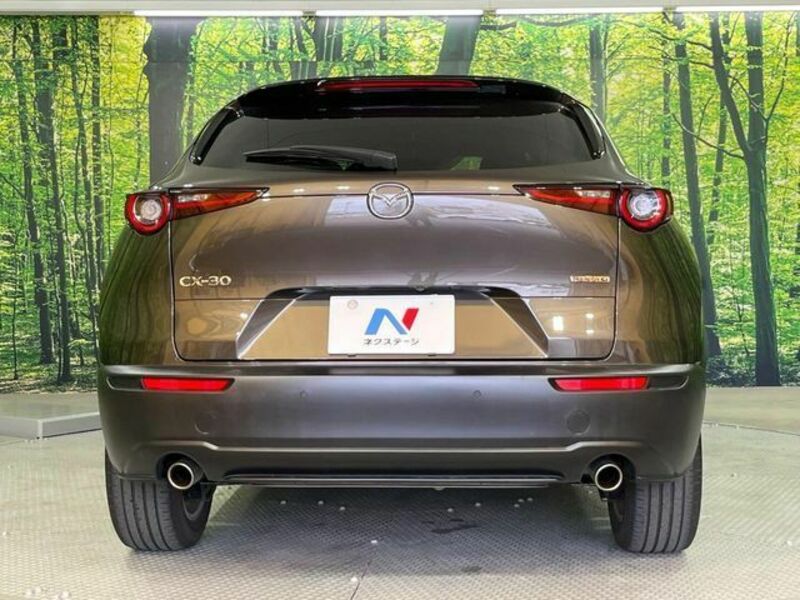 CX-30