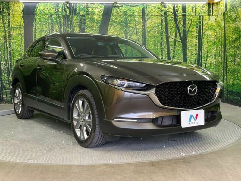 CX-30