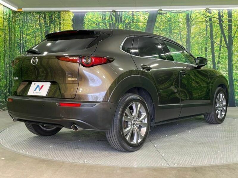 CX-30