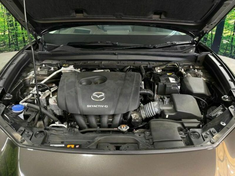 CX-30
