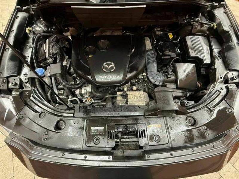 CX-8