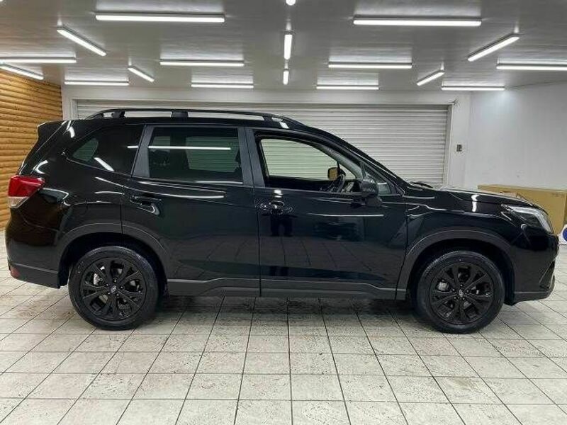 FORESTER-17
