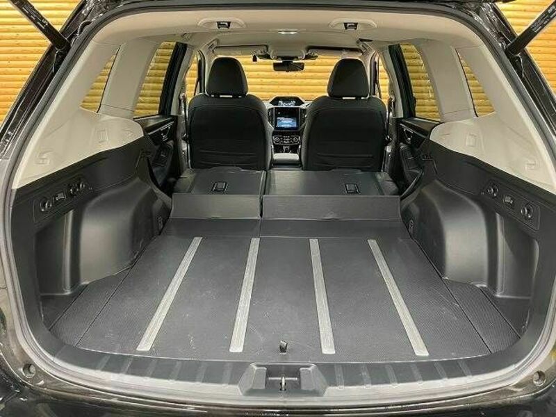 FORESTER-19