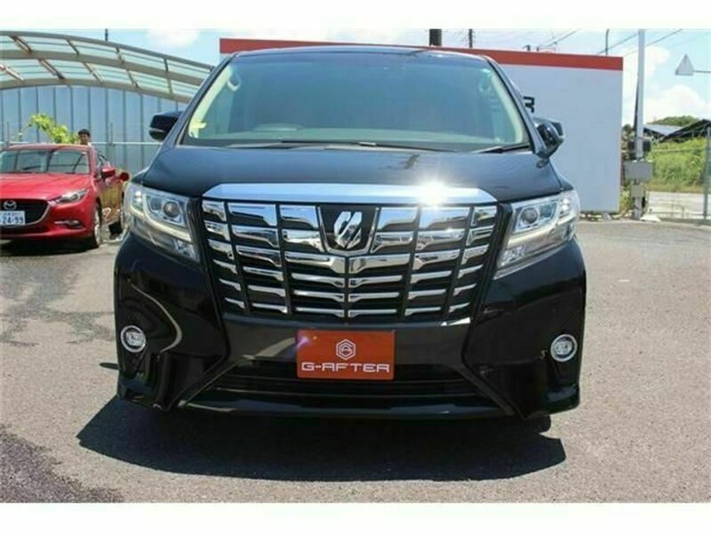 ALPHARD-6