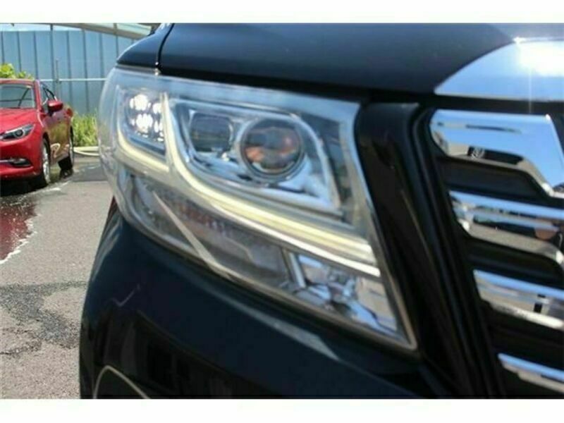 ALPHARD-10