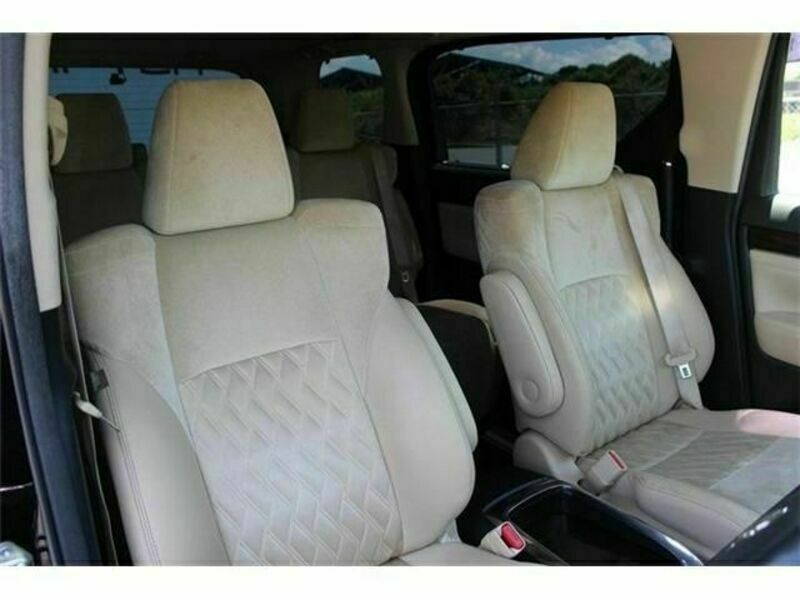 ALPHARD-13
