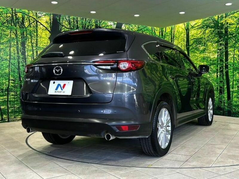CX-8