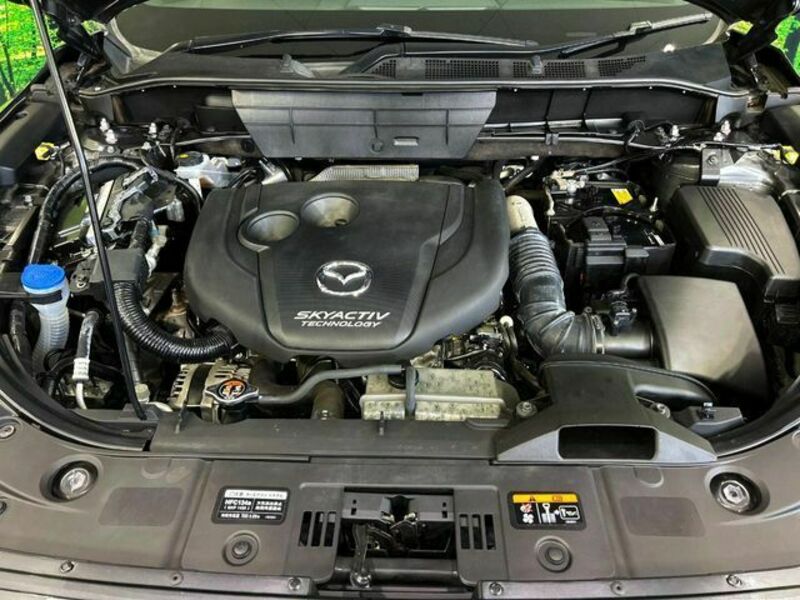 CX-8