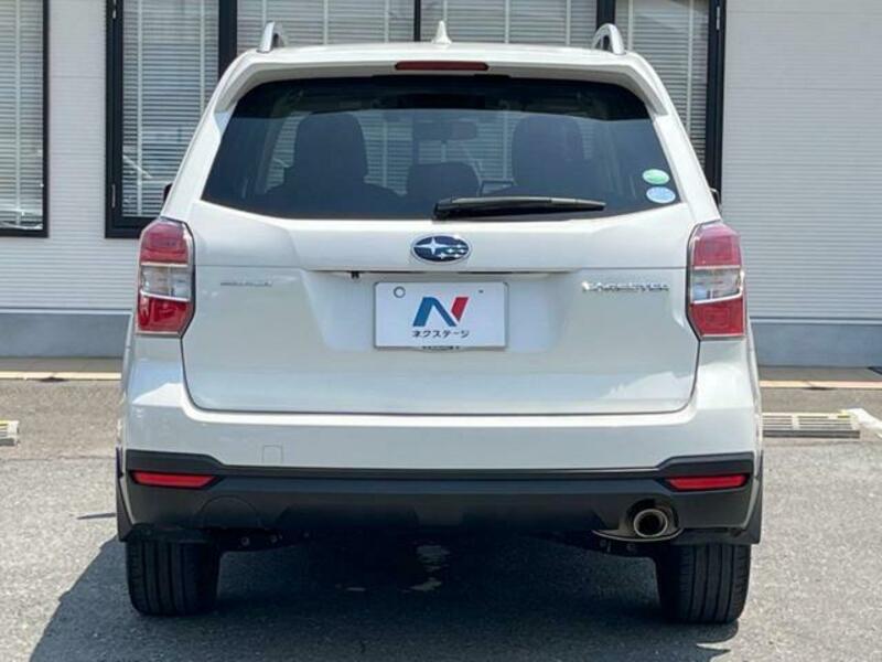 FORESTER-15