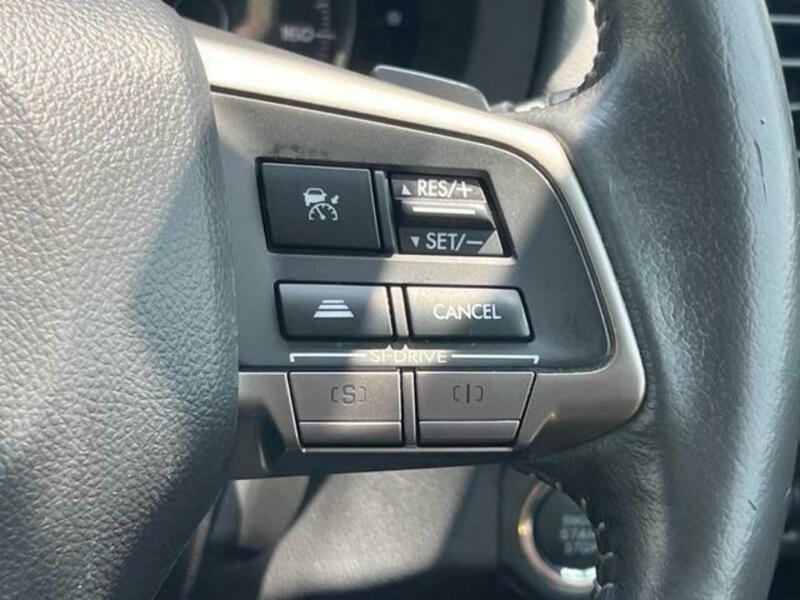 FORESTER-5