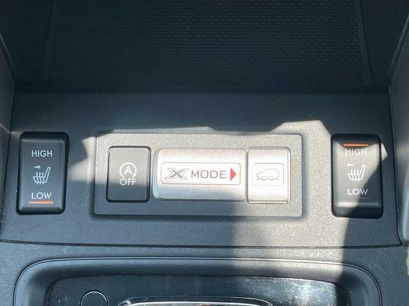 FORESTER-6