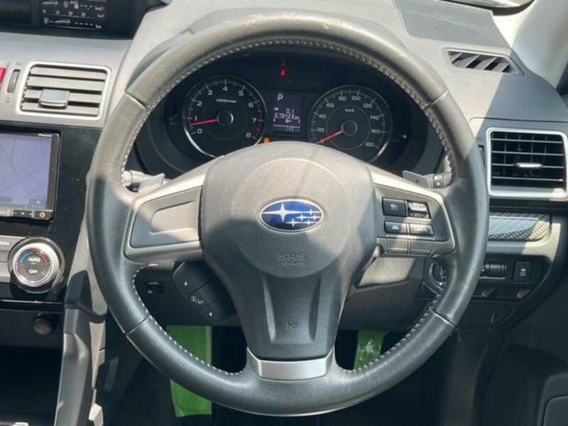 FORESTER-11