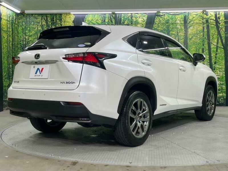 NX
