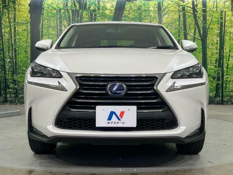 NX